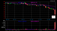 比亞迪H股暴跌40%連累A股 公司回應巴菲特減持傳聞