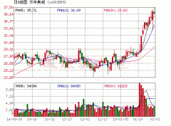 萬豐奧威陳愛蓮:突破汽車業瓶頸有兩大途徑