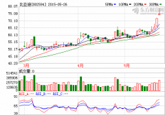 比亞迪擬定增加碼新能源汽車業(yè)務(wù) 市場(chǎng)募集資金開(kāi)啟