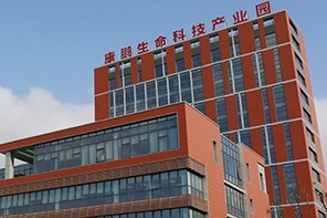 康鵬科技二次闖關科創板獲受理 擬募資10億擴產LiFSI