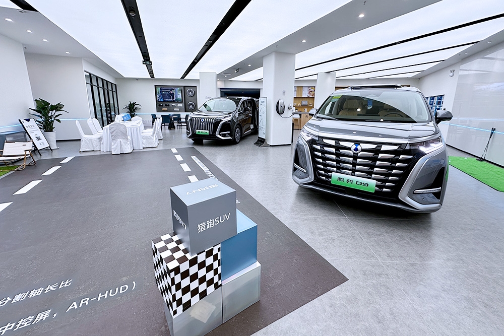 世界新能源車進(jìn)入分化發(fā)展新階段 前10月中國乘用車占比68.9%