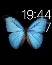 蘋果applewatch評測蘋果手表評測體驗