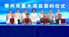 【一周項目動態(tài)】聚焦上半年正負極材料項目動態(tài)分析!格林美/中偉股份/石大勝華/LG化學收獲長單