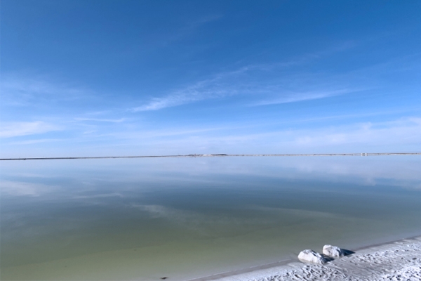 5月碳酸鋰價(jià)格大漲超50%,后市行情如何?