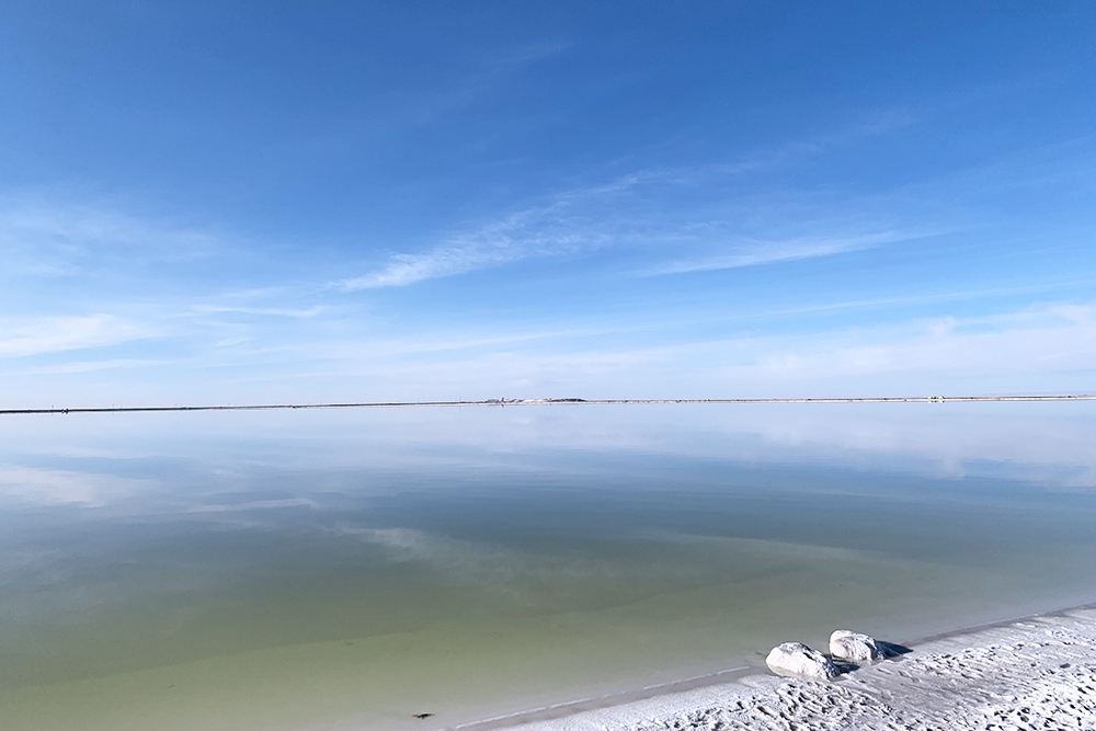 【正極材料周報】廈鎢新能擬合建31.6億前驅(qū)體項目!全球最大鋰礦商叫停部分產(chǎn)線