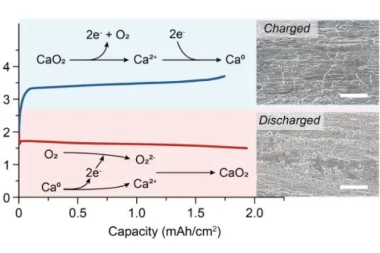 可以“穿”在身上？我國科學(xué)家研發(fā)出室溫下可充鈣-氧電池