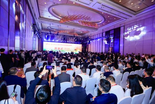 萬物向新 聚焦光伏 “SNEC PV+2024國際光伏兩會”即將啟幕