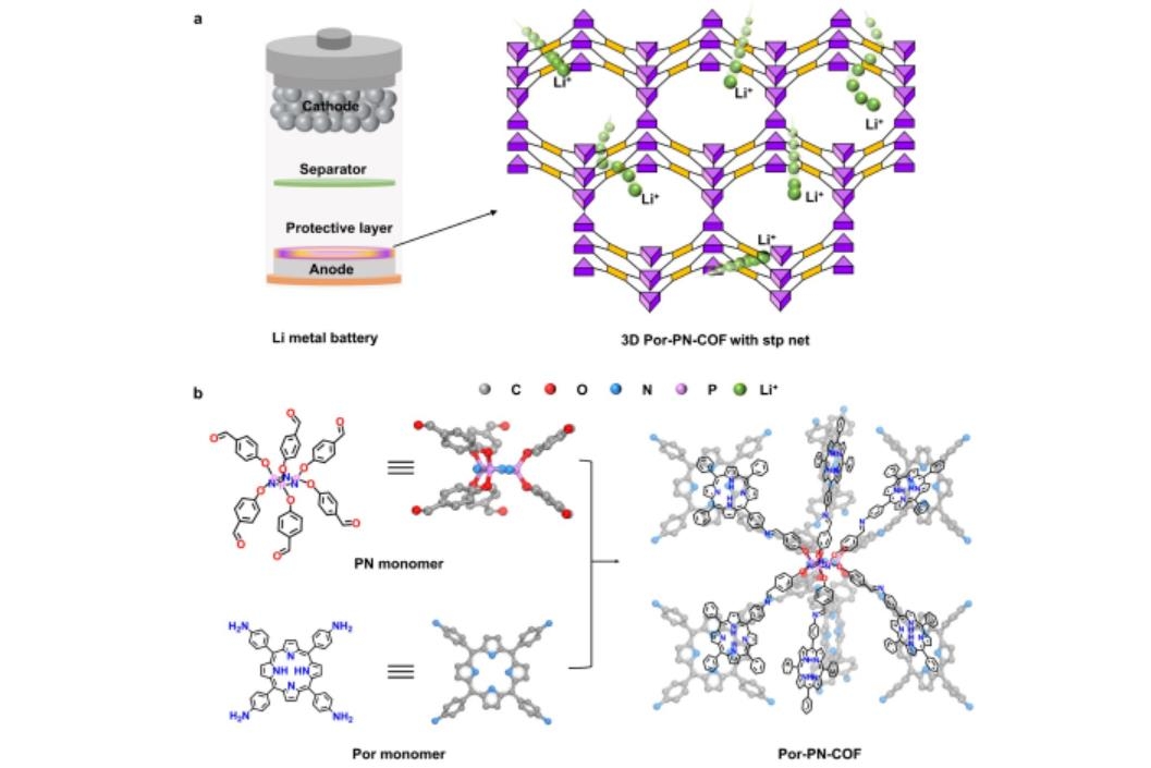 科學(xué)家發(fā)展出新型三維共價有機(jī)框架?助力實現(xiàn)高性能鋰金屬電池