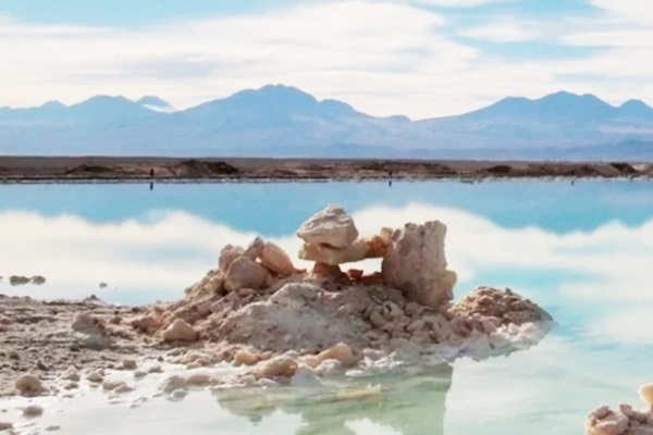 雅保2024年凈銷售額54億美元 儲能業務銷量增長26%