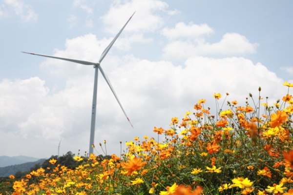 注冊資本1億元！中廣核風電等投資成立新能源公司