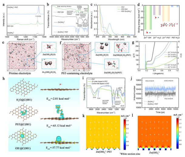 酒石酸鉀鈉對電解液離子結構以及電極界面的調控機制