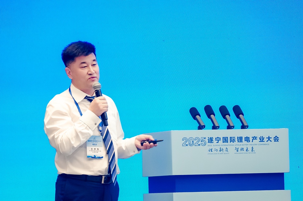 俄羅斯-圣理工大學教授/中俄新能源材料技術研究院院長王慶生