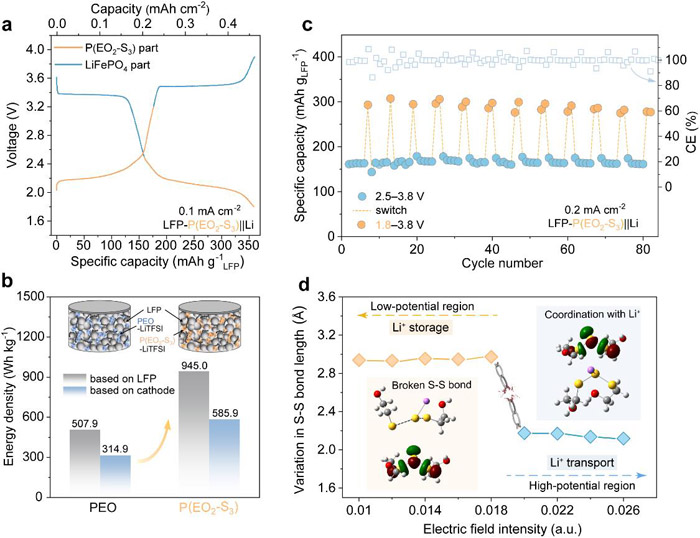 圖2. 一體化聚合物的電化學(xué)性能及電位依賴的離子傳輸-儲存機(jī)制