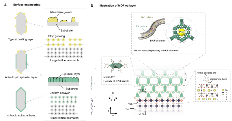 圖 2｜表面工程與Na?傳輸機制示意圖
