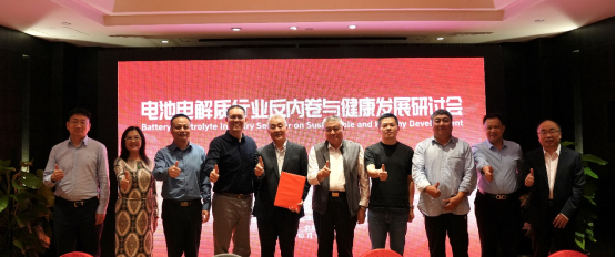 破局“內卷”!電池電解質行業健康發展研討會發布共同倡議 破局“內卷”!電池電解質行業健康發展研討會發布共同倡議