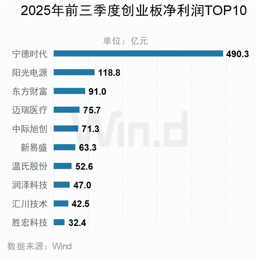 2025年前三季度創業板凈利潤TOP10公司 2025年前三季度創業板凈利潤TOP10公司