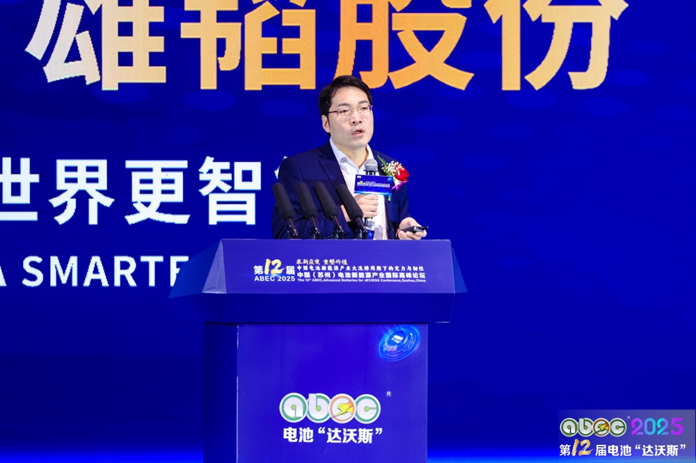 中國(guó)科學(xué)院上海硅酸鹽研究所研究員、能源中心主任張濤