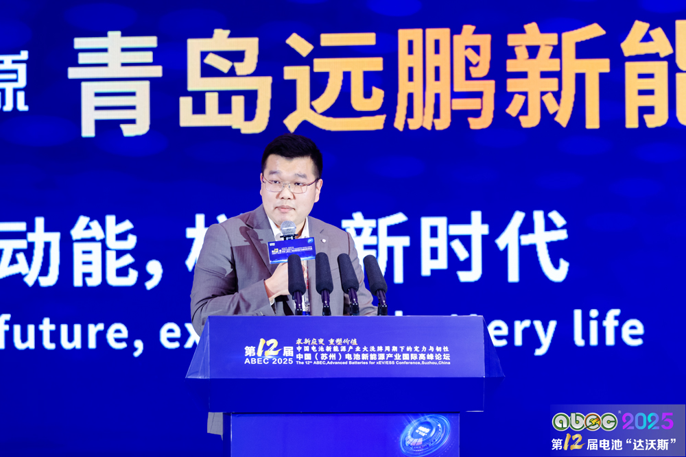 惠州億緯鋰能股份有限公司戰(zhàn)略研究部總監(jiān)張帆