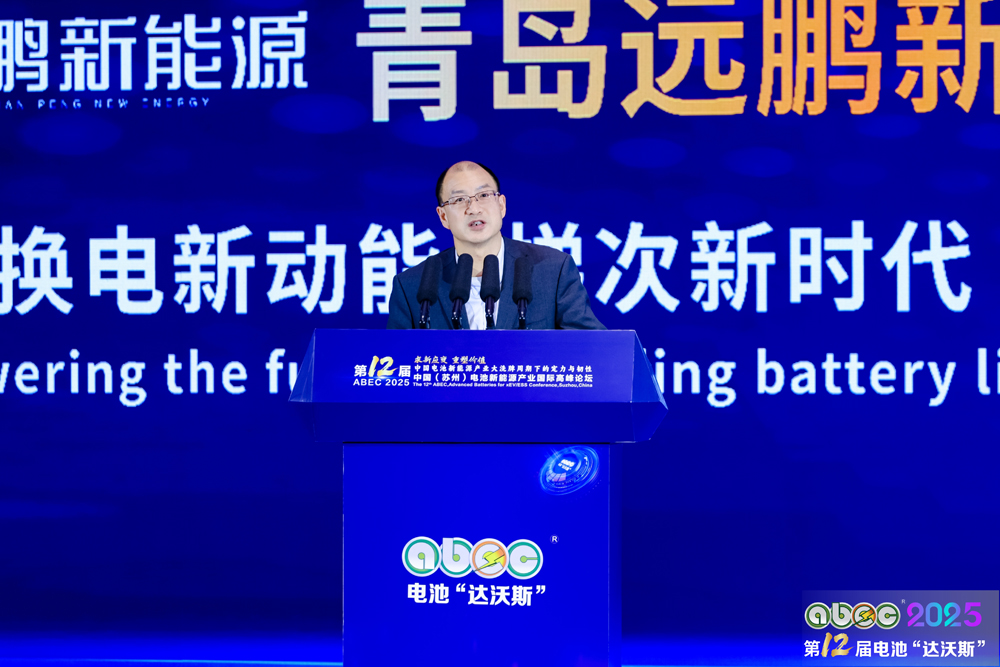 中國(guó)有色金屬工業(yè)協(xié)會(huì)鋰業(yè)分會(huì)副會(huì)長(zhǎng)張江峰