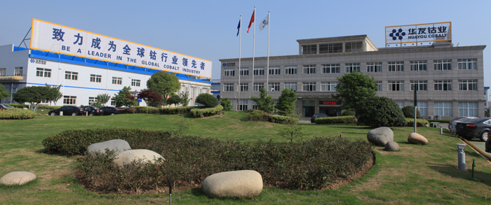 華友鈷業(yè)擬在上交所上市 保薦機構(gòu)為中信證券