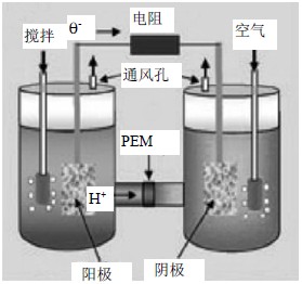 日本用天然酶作催化劑提高燃料電池發電能力