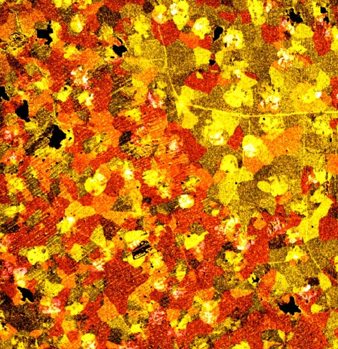 石墨烯的時(shí)代還沒有到來 一切都是在炒作