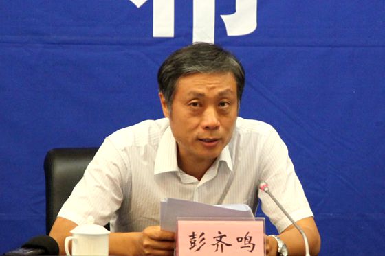 國土資源部地質勘查司司長彭齊鳴 國土資源部地質勘查司司長彭齊鳴