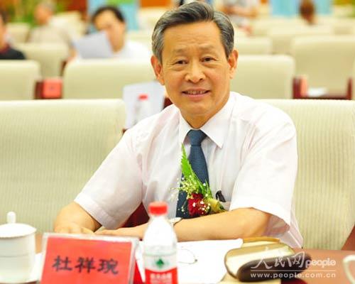 杜祥琬：新能源汽車(chē)的價(jià)值取決于電的“綠色化”