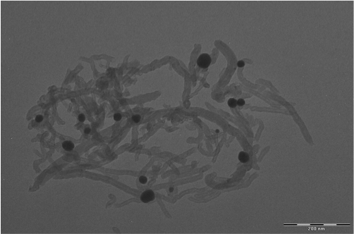 蝸殼激發科學家靈感：鋰電池有望迎來更持久的續航