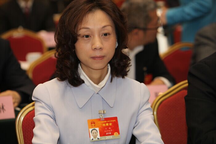 王麒：推行新能源汽車不限牌并減免過路費等