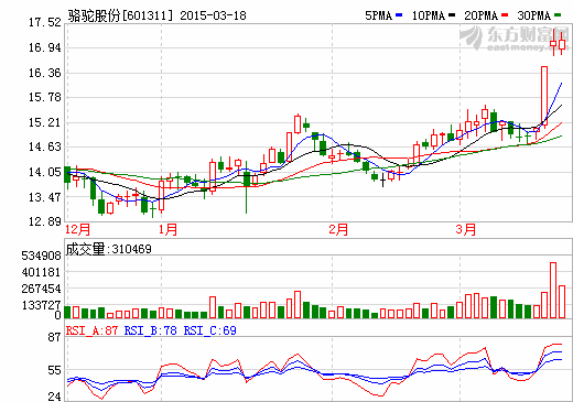 駱駝股份合資設鉛酸動力電池公司  占股51%