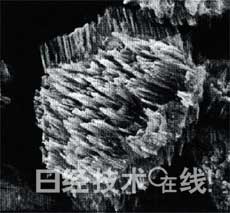 鋰電池開發史（六）兼顧安全性與大容量，看清正極材料的“貓膩”(第1頁) -  7.jpg