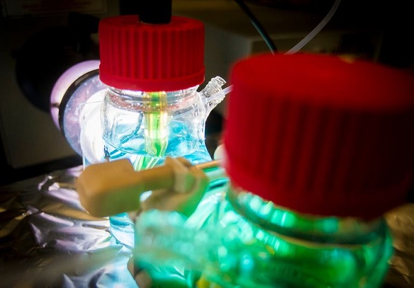 德國(guó)研制新光電化學(xué)電池  可長(zhǎng)期儲(chǔ)存光電子能量