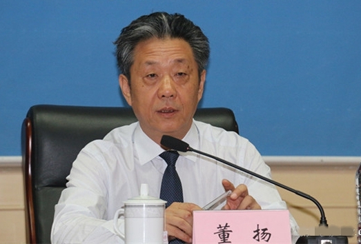 董揚：政策穩(wěn)定是新能源汽車逆勢增長重要原因