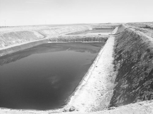 馬培華:高鎂鋰比鹽湖提鋰 在爭議中完美蛻變 馬培華:高鎂鋰比鹽湖提鋰 在爭議中完美蛻變