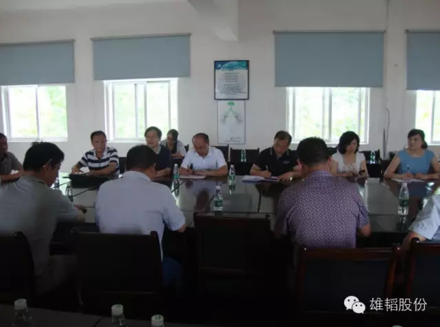 湖北雄韜二期項目開建 年產鉛酸電池將達275萬千伏安時