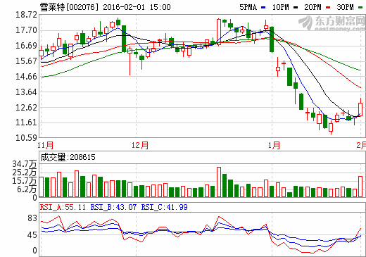 雪萊特擬定增4.7億元 無人機和智慧路燈成未來雙引擎