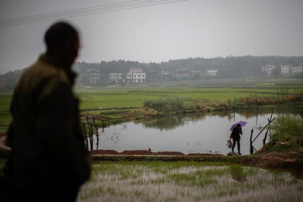 湖南衡陽易XX等53人訴衡陽美侖化工環境污染兒童血鉛超標案