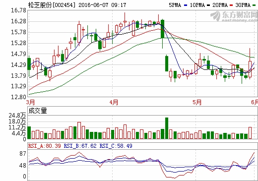 松芝股份 松芝股份