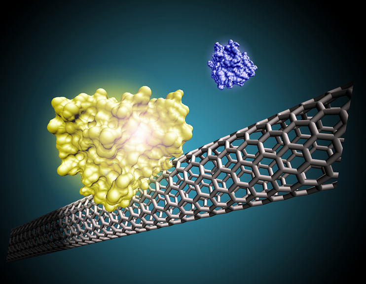 單壁碳納米管新材料 能提升電池近30%容量 單壁碳納米管新材料 能提升電池近30%容量