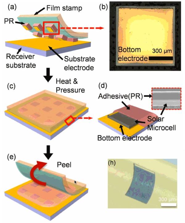 超薄柔性砷化鎵太陽(yáng)能微電池的制作流程。