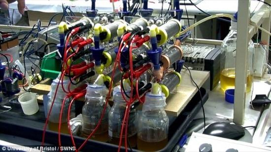 英發(fā)明“尿液電池” 半升尿液可為智能機充電3小時 英發(fā)明“尿液電池” 半升尿液可為智能機充電3小時