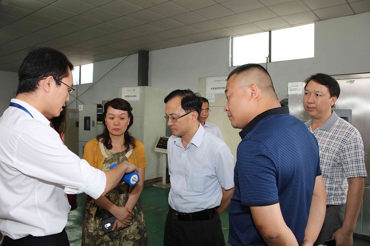 廣西來賓市市長雷應(yīng)敏一行蒞臨銀隆新能源