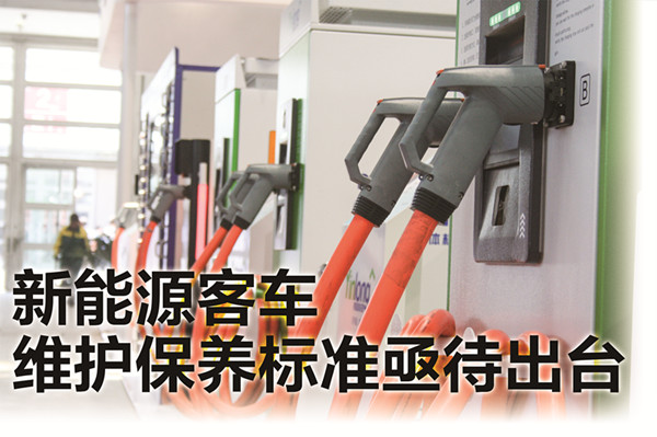 數(shù)量多、規(guī)模大