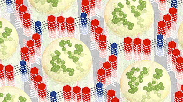 研究人員開發出儲能10倍 充電速度也超快的新型電池材料