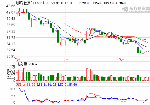 鵬輝能源 鵬輝能源