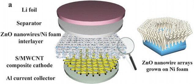 延長(zhǎng)使用壽命 人類腸道構(gòu)造激發(fā)新電池解決方案