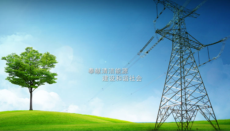 國際能源署：去年中國可再生能源增量占世界40% 領跑全球