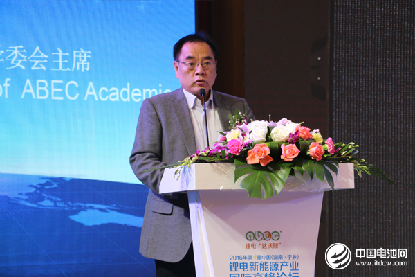 北京大學教授、鋰電“達沃斯”學委會主席 其魯
