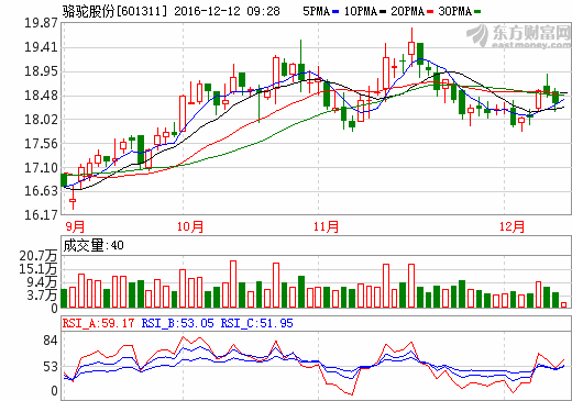 駱駝股份 駱駝股份